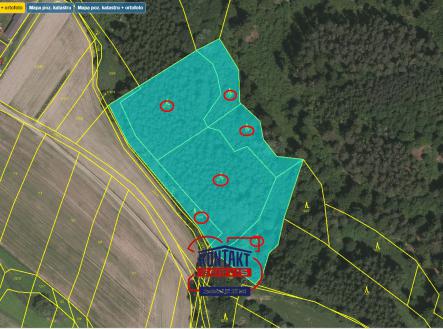 Prodej - pozemek, les, 12 101 m²
