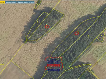 Prodej - pozemek, les, 8 611 m²