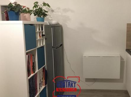 Pronájem bytu, 1+kk, 31 m²