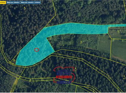 Prodej - pozemek, les, 8 772 m²
