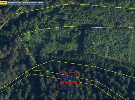 Prodej - pozemek, les, 8 772 m²