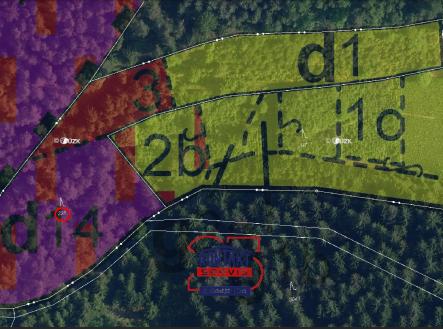 Prodej - pozemek, les, 8 772 m²