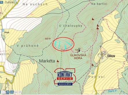 Prodej - pozemek, les, 7 418 m²