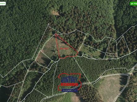 Prodej - pozemek, les, 3 259 m²