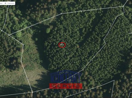 Prodej pozemku, les, 25 593 m²