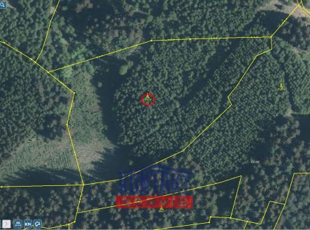 Prodej pozemku, les, 25 593 m² obrázek