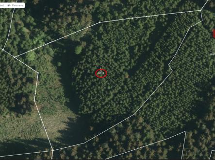 Prodej pozemku, les, 17 933 m²