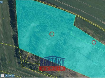 Prodej - pozemek, les, 100 105 m²