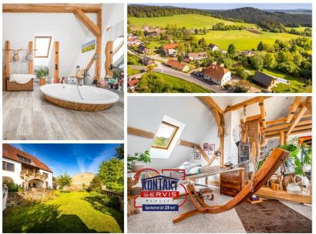 Prodej - dům/vila, 549 m²
