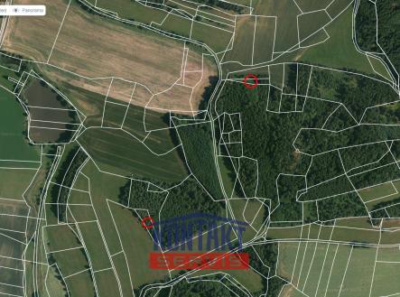 Prodej pozemku, les, 2 819 m²