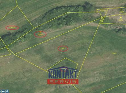 Prodej - pozemek, zemědělská půda, 6 556 m²