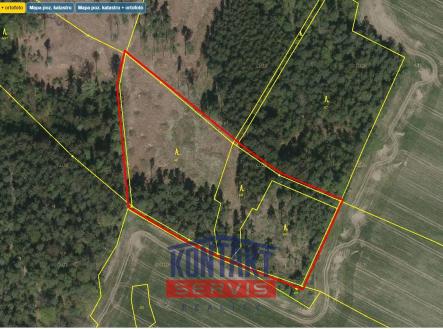 Prodej pozemku, les, 43 683 m²