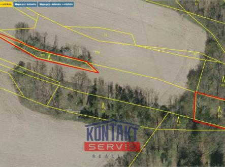 Prodej pozemku, les, 43 683 m²