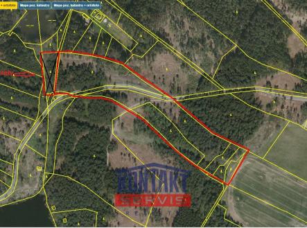 Prodej pozemku, les, 43 683 m²