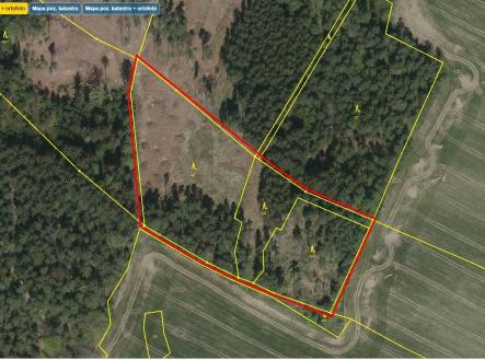 Prodej pozemku, les, 43 683 m²