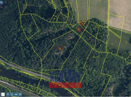 Prodej pozemku, les, 23 153 m²