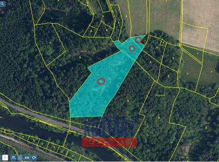 Prodej pozemku, les, 23 153 m²