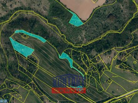 Prodej pozemku, les, 11 037 m²