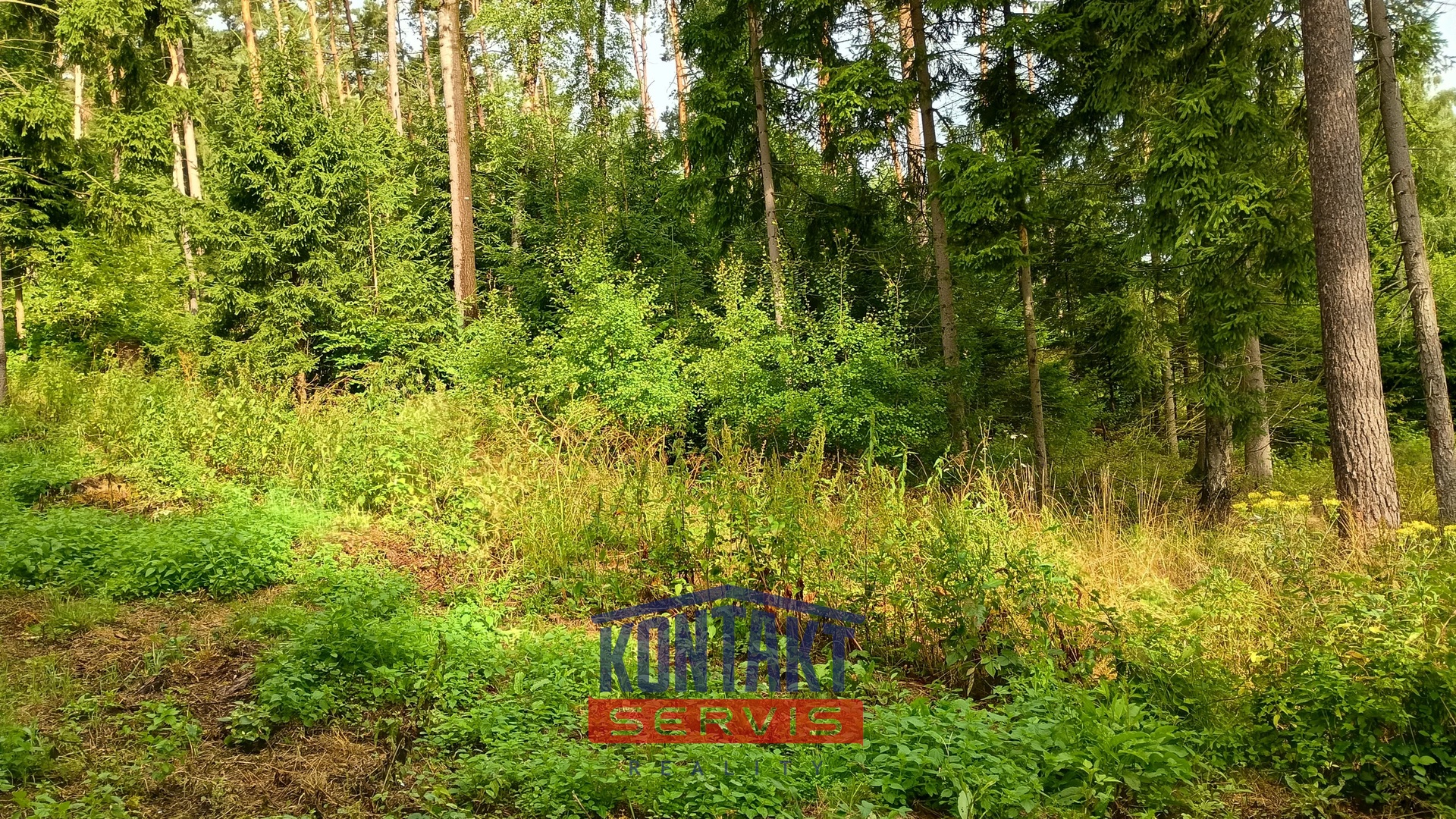 IMG_20250717_083335471_HDR