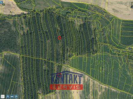 Prodej pozemku, les, 10 125 m²