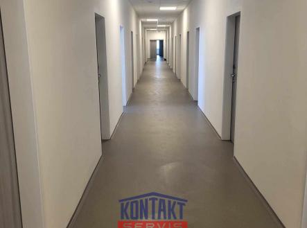 Pronájem kanceláře, 12 m²