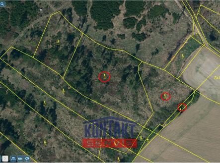 Prodej pozemku, les, 12 476 m²