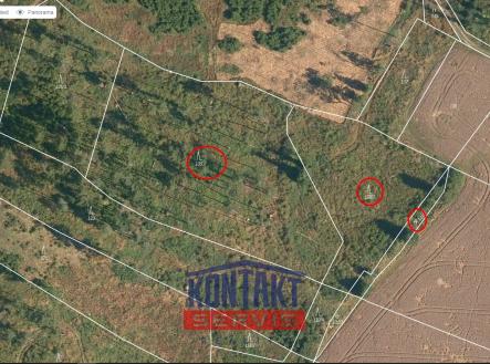 Prodej pozemku, les, 12 476 m²