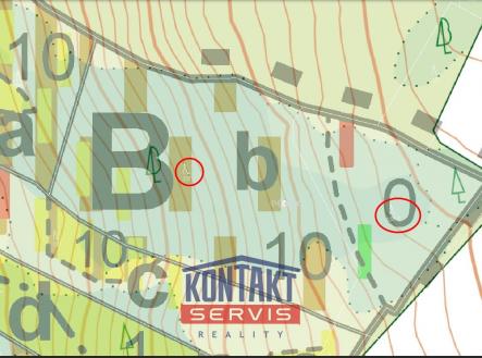 Prodej pozemku, les, 12 476 m²