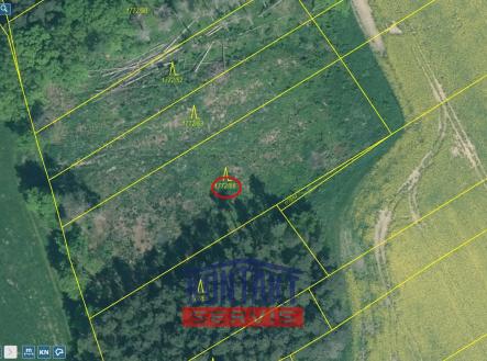 Prodej pozemku, les, 2 934 m²