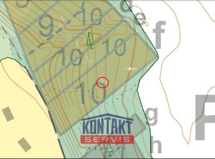 Prodej pozemku, les, 2 934 m²