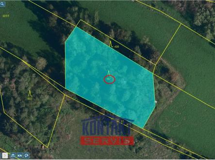 Prodej pozemku, les, 2 666 m²