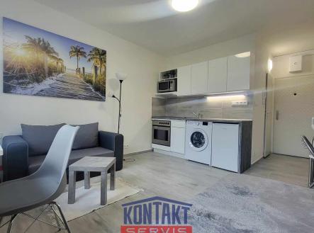 Pronájem bytu, 1+kk, 21 m²