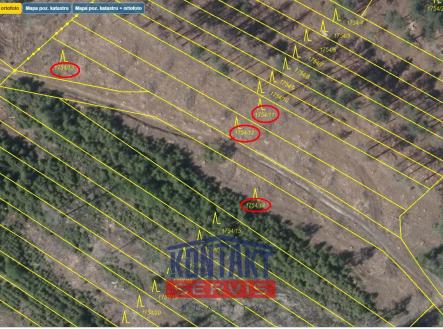 Prodej pozemku, les, 5 000 m²
