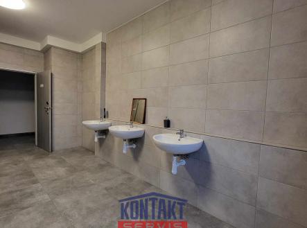 Pronájem kanceláře, 12 m²