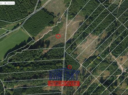 Prodej pozemku, les, 70 821 m²