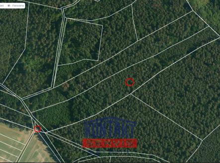 Prodej pozemku, les, 100 105 m²