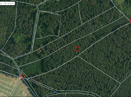 Prodej pozemku, les, 100 105 m²