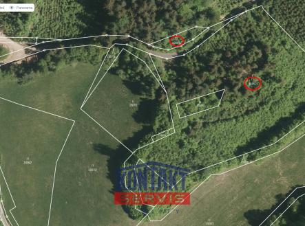 Prodej pozemku, les, 13 657 m²