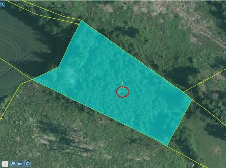 Prodej pozemku, les, 20 620 m²