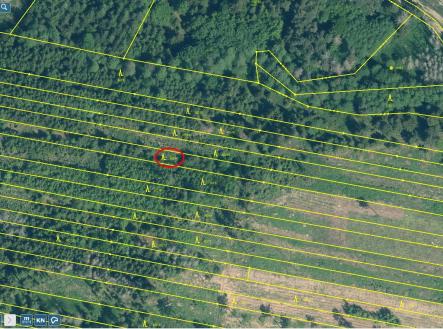 Prodej pozemku, les, 32 955 m²