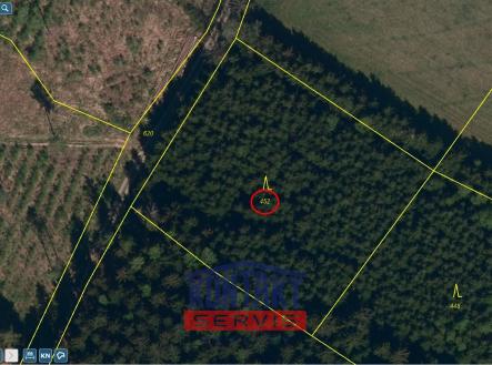 Prodej pozemku, les, 4 352 m²