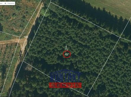 Prodej pozemku, les, 4 352 m²