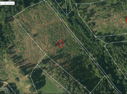 Prodej pozemku, les, 12 243 m²