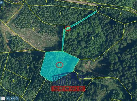 Prodej pozemku, les, 4 325 m²