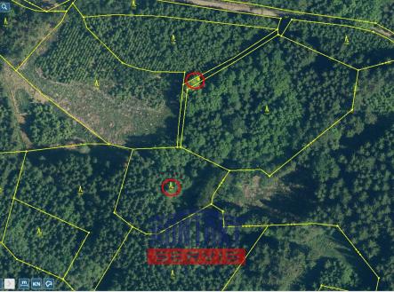 Prodej pozemku, les, 4 325 m²