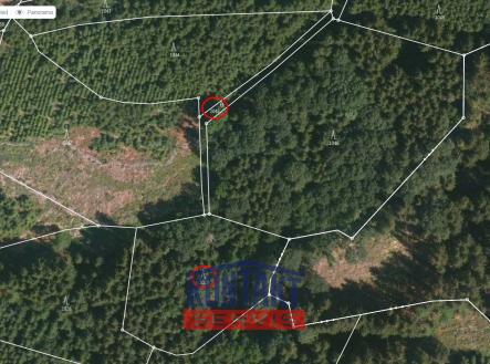 Prodej pozemku, les, 4 325 m²