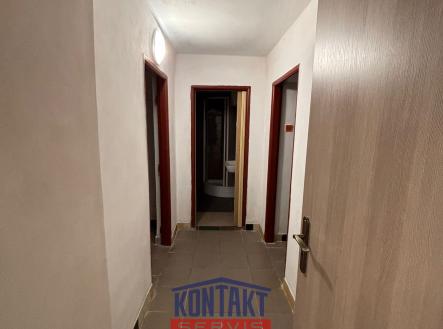 Pronájem obchodní prostor, 200 m²