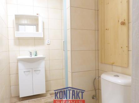 Pronájem bytu, 1+1, 44 m²