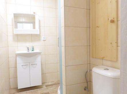 Pronájem bytu, 1+1, 44 m²