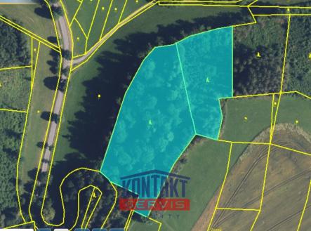 Prodej pozemku, les, 15 596 m²